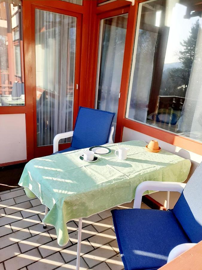 Apartment Anja Schluchsee Luaran gambar